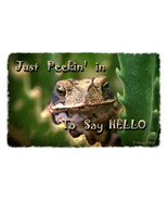 Greeting Card with Toad Just Peekin&#39; In  - $4.80 CAD