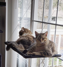 Cat Window Perch for Indoor Cats, Cat Hammock for Window, Resting Pet Be... - £19.99 GBP