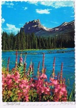 Canada Postcard Beautiful Canada Flowers Mountains Lakes - $2.16