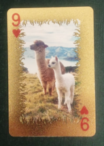 Animal-Themed Golden Foil PVC Mini Playing Card Llamas 9 Hearts - $1.84