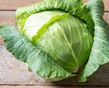 600 Cabbage Seeds Copenhagen Market Early Heirloom Non Gmo Fresh Fast Sh... - $8.99