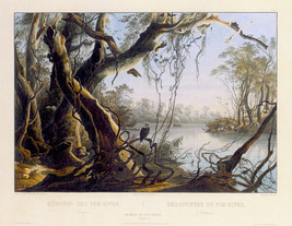 Mouth of Fox River Indiana 15x22 Karl Bodmer Native American Indian Art - £36.63 GBP