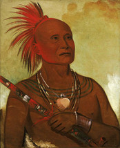 The Swimmer 30x44 George Catlin Native American Indian Art - £117.95 GBP