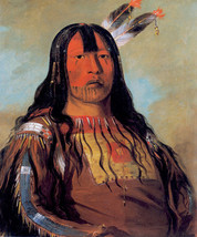 Iron Horn Blackfeet Indian 15x22 George Catlin Native American Indian Art - £39.28 GBP