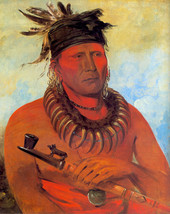 Missouri Indian Cheif 15x22 George Catlin Native American Indian Art - £39.77 GBP