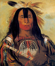 White Buffalo Blackfeet Indian 15x22 George Catlin Native American Indian Art - £39.28 GBP