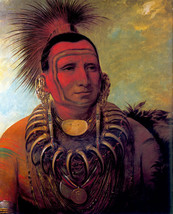 Little Wolf Iowa Indian 15x22 George Catlin Native American Indian Art - £39.28 GBP