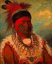 White Cloud 30x44 Hand Numbered Edition George Catlin Native American Print - £118.14 GBP