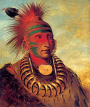 Iowa Warrior 22x30 George Catlin Numbered Edition Native American Indian... - $120.00