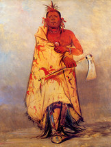 Big Elk Chief of the Omaha Indian Tribe 15x22 George Catlin Native American art - £38.41 GBP