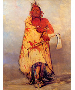 Big Elk Chief of the Omaha Tribe 30x44 George Catlin Native American Ind... - £117.71 GBP