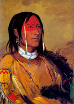 Grizzly Bear Cheif of the Tribe 30x44 George Catlin Native American Indian Art - £118.64 GBP