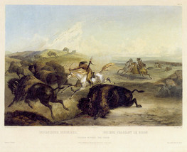 Indians Hunting The Bison 30x44 Karl Bodmer Native American Indian Art - $150.00
