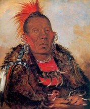 Chief of The Otoe Indians 30x44 George Catlin Native American Indian Art - $150.00