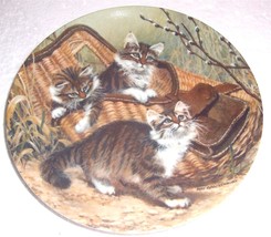 &quot;Gone Fishing Maine Coons&quot; Cat Tales Plate  Amy Brackenbury Plate# 2004 C - £40.48 GBP
