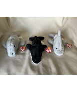 Manny Flash Splash Trio Crown Jewel Distinctive Dual Tush Tags + More -M... - $10,000.00
