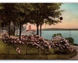 Lakefront View Lake Chautauqua New York Albertype Postcard S25 - $2.92