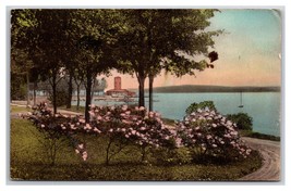 Lakefront View Lake Chautauqua New York Albertype Postcard S25 - £2.29 GBP