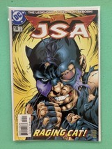 Comic Book JSA 10 Raging Cat - £11.74 GBP