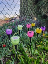 (8 Pcs) Solar LED Tulip - Assorted Color - Yard Art - £14.91 GBP