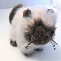 Ganz Webkinz Brown Himalayan Cat Plush Stuffed Animal NO CODE - £7.07 GBP