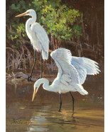 Framed canvas art print giclee Great egrets birds wildlife nature coast - $39.59+
