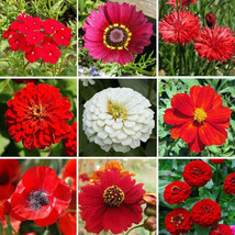 Wildflower Mix Big Red Heirloom Flowers Hummingbirds Bees Nongmo 500 Seeds - £9.56 GBP