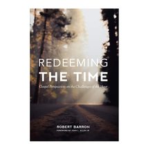 Redeeming the Time [Paperback] Baron, Robert - £10.43 GBP