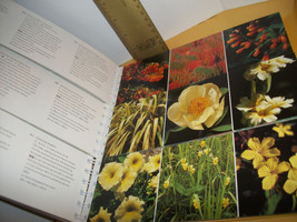 Home Gift Garden Book Nature Flower Color Combination Spiral-Bound Flip Plants - £18.93 GBP
