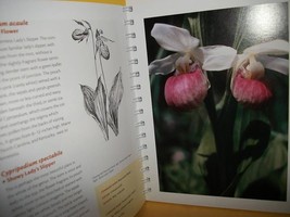 Home Gift Garden Manual Book Spiral-Bound Wild Flowers Field Guide Nature Color - £18.93 GBP