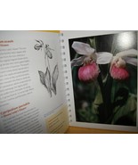 Home Gift Garden Manual Book Spiral-Bound Wild Flowers Field Guide Natur... - £18.75 GBP