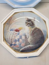 Cat Kitten Collector Plates The Danbury Mint - Kitten Cousins By Ruane M... - $10.14