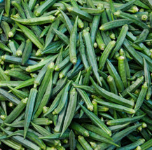 100 Okra seeds - Super healthy - Green Emerald better than Clemson Spine... - £8.92 GBP