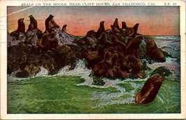 California San Francisco Seals on the Rocks Cliff House Posted 1935 Postcard - £5.97 GBP