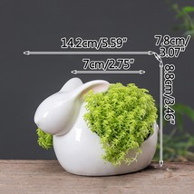 Korean Creative Cartoon Rabbit Animal Succulent Flower Pot Home Gardening Office - £22.16 GBP