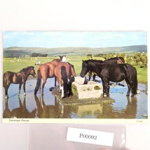 Vintage 1960s Postcard Dartmoor Ponies ETW Dennis Photocolour Devon England - $12.91