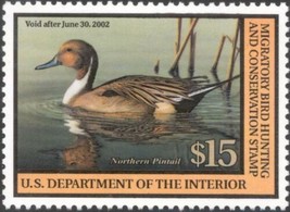 RW68, $15.00 Northern Pintail Federal Duck Stamp VF NH - Stuart Katz - £21.60 GBP