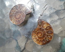 Ammonite Fossil Earrings, 925 Silver, Handmade - £19.18 GBP
