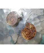 Ammonite Fossil Earrings, 925 Silver, Handmade - £18.87 GBP