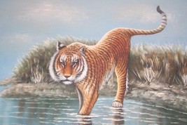 RARE BENGAL TIGER LARGE CANVAS OIL PAINTING BY MCDONALD - £679.22 GBP