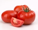 Non gmo marglobe tomato   100 seeds1 thumb155 crop