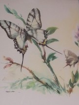 Rare Vincente B Ballestar Butterly Watercolor Spain Art - £381.11 GBP