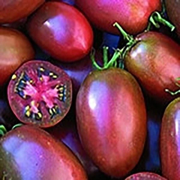 50 Seeds Ukrainian Purple Tomato Tomatoe Vegetable Garden Edible Canning - $5.18