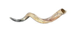Kudu Yemenite Horn Shofar, New Kosher Kudu Trumpet, Kudu Shofar Medium S... - $107.91