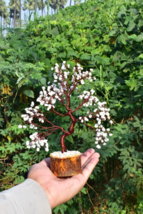 Natural Howlite Crystal Tree | Copper Wire Bonsai for Calm &amp; Stress Reli... - €33,67 EUR+