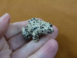 Y-FRO-591) baby spotted black jasper FROG stone gemstone figurine I love... - $15.79