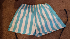 VTG EUC 80&#39;s Women&#39;s High Waist Shorts Blue White Stripe Polyester  S Small - $22.79