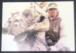 Star Wars Luke Skywalker Riding Tauntaun Postcard 105-528 Classico SF --... - $9.49