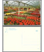 Lot of 14 FLOWERS / FLORAL Postcards - All Shown See Photos A39 - £5.46 GBP