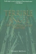 Terrible Angel by Dermot McEvoy (2002, Hardcover) - £8.80 GBP